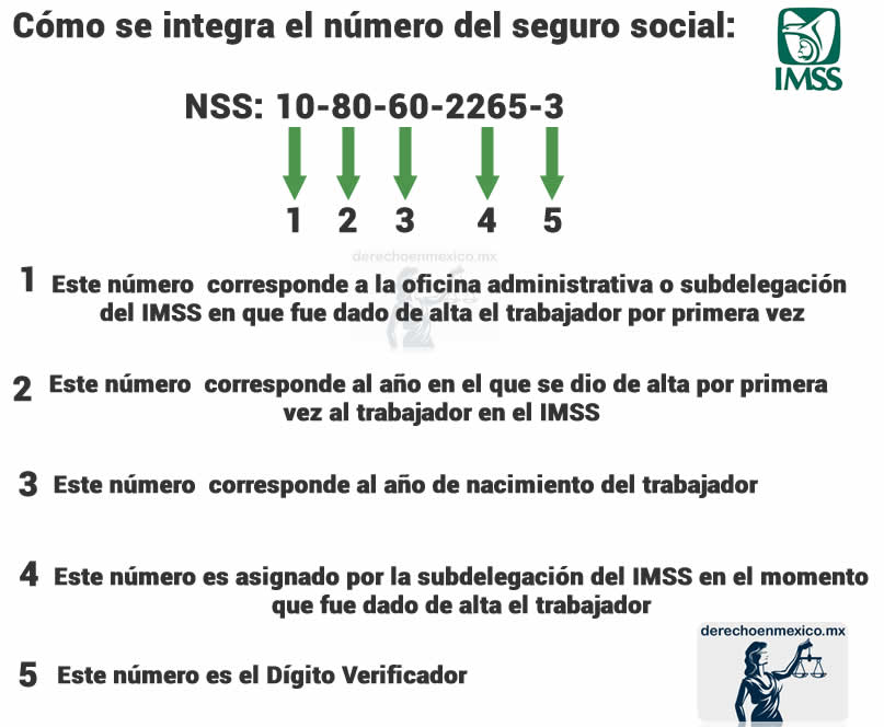 ¿cómo Se Integra El Número Del Seguro Social Y Como Saber Mi Numero De Seguro Socialemk 0231